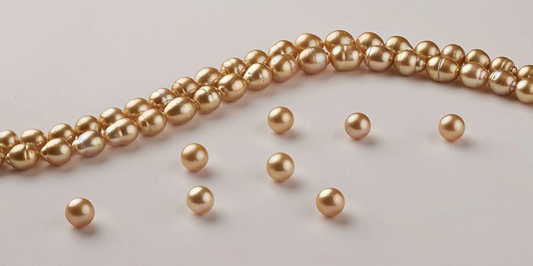 south sea pearls guide